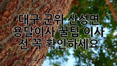 대구 군위 산성면 용달이사 꿀팁! 이사 전 꼭 확인하세요!