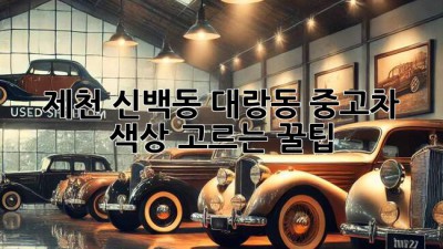 제천 신백동, 대랑동 중고차 색상 고르는 꿀팁!