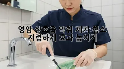 영암 삼호읍 악취 제거 청소: 저렴하게 효과 높이기